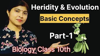 Basic Concepts of Heridity and EvolutionHeridity and EvolutionPart1BiologyClass 10202425 [upl. by Iamhaj3]