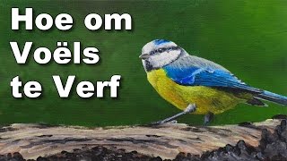 hoe om voëls te skilder in olieverf blue tit kuns lesse [upl. by Frederigo]