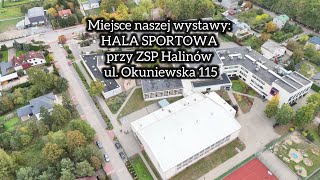 Wystawa gołębi w Halinowie 2324 listopada 2024 Zaproszenie od organizatorów Film z drona🕊🔥👍 [upl. by Nywnorb]