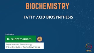 Fatty Acid Biosynthesis [upl. by Matthieu265]