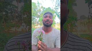 funny Satya Kiya ek ladki Ko propose🌹 comedy tranding [upl. by Alene19]