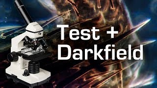 Microscope quotBresser Biolux NVquot Test and Darkfield Modification [upl. by Oicnecserc]