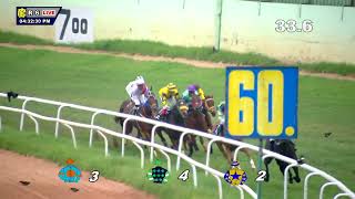 GOLDEN TIME THE CHINTAMANI STAKES44 [upl. by Herve1]