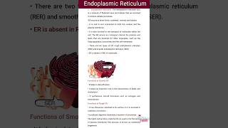 Endoplasmic Reticulum Structure and Functions [upl. by Eineeuq]