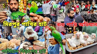 বন্য পাখি অভিযানবৃষ্টিতে জমজমাট মিরপুর পাখির হাটPersian CatAmazonTia pakhi  Mirpur pakhir haat [upl. by Anayaran157]