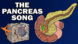 THE PANCREAS SONG [upl. by Coyle]