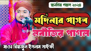 নবীর প্রেমে পাগল করা গজল। Riyajul islam saify নবীজির পাগল মদিনার পাগল। রিয়াজুল ইসলাম সাঈফী nobijir [upl. by Dolores]