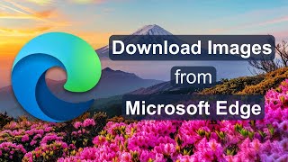 Easily Download Background Images from Microsoft Edge Start Page to Your Mac 2024 [upl. by Adiaroz243]