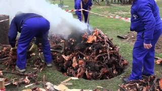 Producción artesanal de carbón de raíz de brezo Bosque Modelo de Urbión [upl. by Etnelav446]