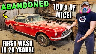 I Found The DIRTIEST Ford Mustang Sitting in a BarnCan it be Cleaned [upl. by Ivan286]