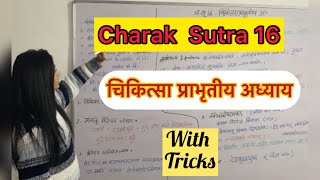 Charak Sutra 16  चरक सूत्र 16  Sneha adhyaya  aiapget aiapget2024 bams ayurveda [upl. by Ja]