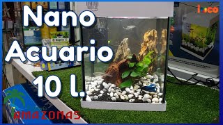 👩‍🔧 Cómo Montar un Nano Acuario 10 litros con LED barato y sencillo para pez Betta 🐠 [upl. by Yonina]