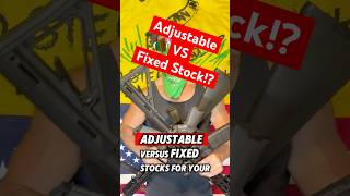 BEST AR15 Stock Fixed vs Adjustable shorts [upl. by Admama568]