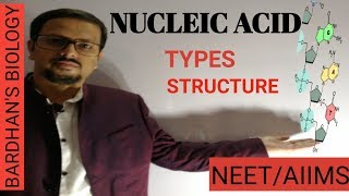 NUCLEIC ACIDS structure in detail amp types Biomolecules in HINDI [upl. by Anidnamra]