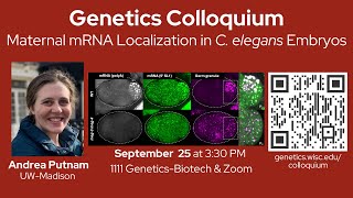 UWMadison Genetics Colloquium  Andrea Putnam  September 25 2024 [upl. by Etteraj]