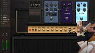 NEW 1987XSG amp [upl. by Issim]