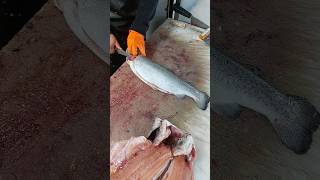 Professional filleting and skinning of salmon or trout [upl. by Salomie]