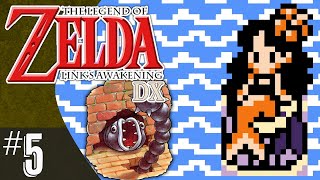 The Legend of Zelda Links Awakening DX part 5  The Mermaids Secret [upl. by Enimzzaj]