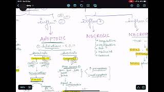 Easiest way to remember CELL INJURY  Apoptosis Necrosis etc  NEETPG INICET FMGE [upl. by Ahsurej]