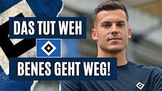 HSV Benes hat sich ENTSCHIEDEN Transfer FIX [upl. by Notaes]