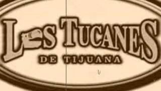 TUS VERDADES TUCANES DE TIJUANA [upl. by Wiggins]