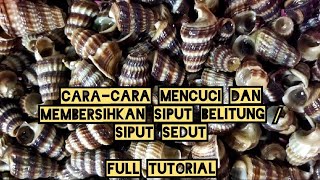 Caracara Mencuci Dan Membersihkan Siput Sedut  Siput Belitung  Full Tutorial [upl. by Atiana]