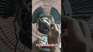 What is a Capacitor or Condenser  Class 12 [upl. by Yelkrab]