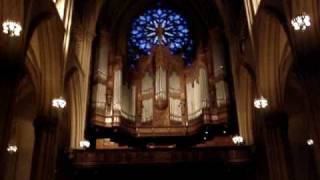 Music at StPatrick Cathedral NYCBeautiful Pipe Organ [upl. by Saw503]