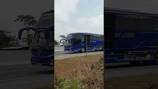 TANI JAYA new super high deck 5 shorts busmania travel bus [upl. by Alemahs]