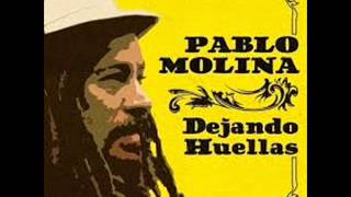 Pablo Molina  Dejando Huellas Disco Completo [upl. by Diarmit192]