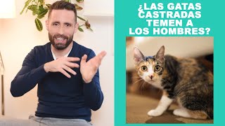 ¿Si castro a mi gata me tendrá miedo por ser hombre [upl. by Glen133]