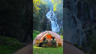 Relaxing forest Music with Water Sounds • Peaceful Ambience for Meditation Spa Yoga and Relaxation [upl. by Aicenav393]