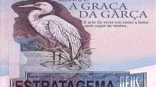 ESTRATAGEMA DE DEUS  A GRAÇA DA GARÇA  A GRAÇA DA GARÇA [upl. by Ferne715]