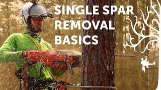 Spar removal basics  SRT tree climbing tutorial  Arborist Howto [upl. by Ettedualc]