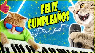 FELIZ CUMPLEAÑOS 2023 💖GATOS maullando GATOS maullando😸numero 1 para felicitar TODO RISASHappy Day [upl. by Imik]