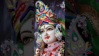 Maa bhakti div Vaishno Devi viralvideo maavaishnodevibhawan [upl. by Zuckerman]