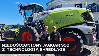 Opinia Klienta o Sieczkarni CLAAS Jaguar 950 z Technologią SHREDLAGE® [upl. by Arabela295]