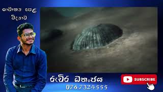 Cnidaria නිඩාරියා  Coelenterata සිලෙන්ටරේටා [upl. by Eserehs580]