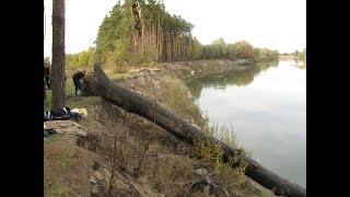 mining of bog oak [upl. by Paulette322]