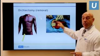 Testicular Cancer What You Really Need to Know  Mark Litwin MD MPH  UCLAMDChat [upl. by Ahsiek]