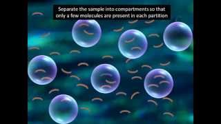 Digital PCR explained in 2 minutesmust watch [upl. by Anniroc]