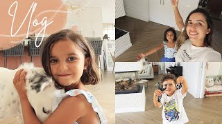 Estamos PREOCUPADOS por GALA  Montamos MUEBLES del IKEA  VLOGS DIARIOS 252607 [upl. by Molton]