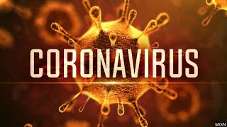 Contagion Full Movie English 2011 HD  Coronavirus Movie  corona movie  corona virus outbreak [upl. by Viviana409]