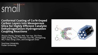 Conformal Coating of CoNDoped Carbon Layers into Mesoporous Silica [upl. by Tann]