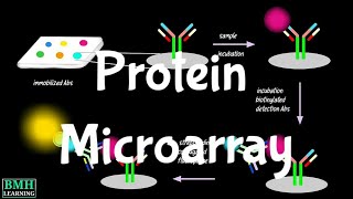 Protein Microarray  Protein Arrays  Protein Biochips [upl. by Julissa]