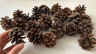 Look What I Made With Pine Cones [upl. by Enyaht2]