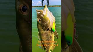 Isca FIRESTICK da INTERGREEN cor VLA tucuna fishing [upl. by Branden]