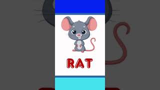 Learning with London  Lets Learn Rhyming Words  Best Learning Video for Kids childrenseducation [upl. by Redyr]