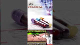 Diagnosis of chikungunya Chikungunya ChikungunyaDiagnosisHealthAwarenessDiseasePrevention [upl. by Joacimah]