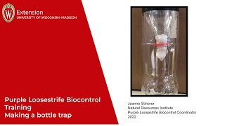 Purple Loosestrife Biocontrol Training  Making a Beetle Trap [upl. by Ahc841]